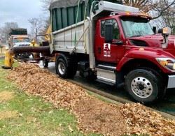 Leaf Truck Oct 2020
