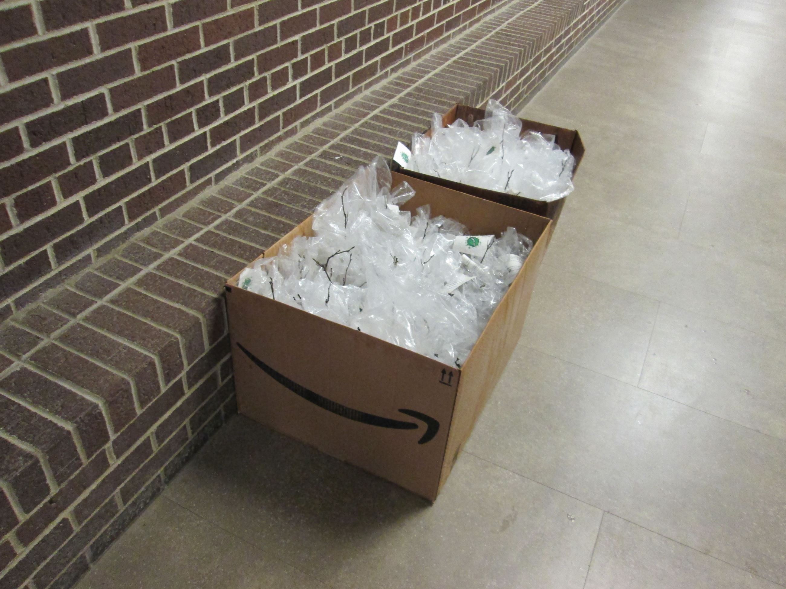 Trees Delivered to Worthington Hills Elementary